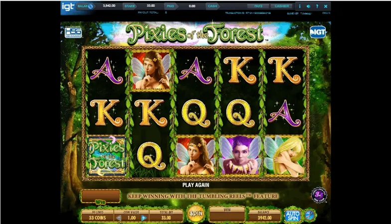 Discover the Excitement of 5 Wishes Slot Game at Vegas11